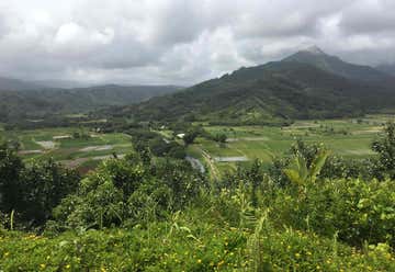 Photo of Hanalei Valley Lookout