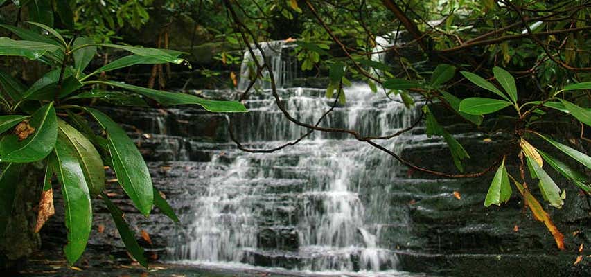 Photo of Mill Creek Falls