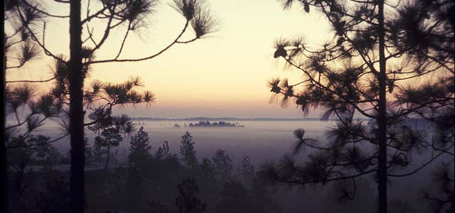 Photo of Kisatchie National Forest