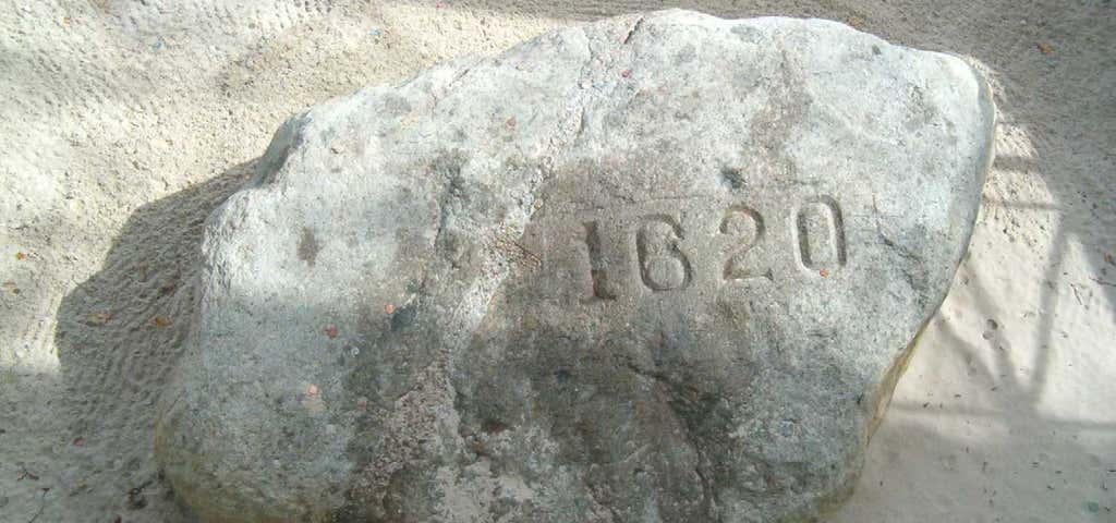 Photo of Plymouth Rock