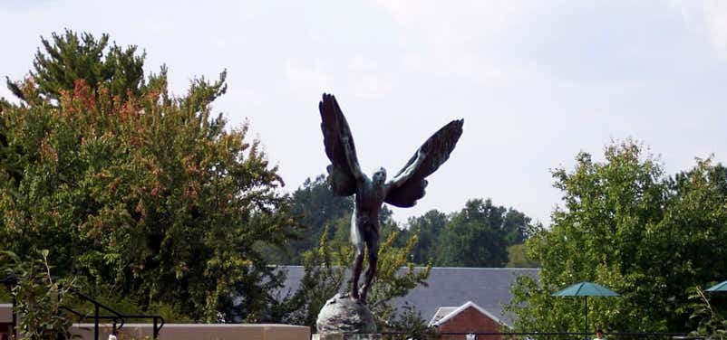 Photo of The Aviator Statue