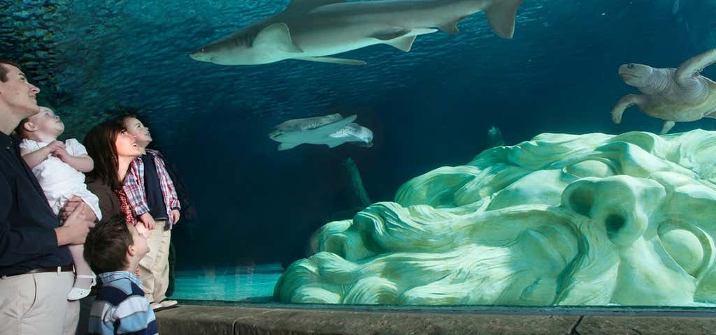 Photo of Sea Life Aquarium