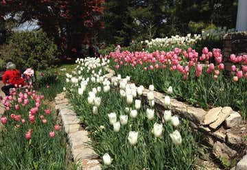 Photo of Bartlett Arboretum