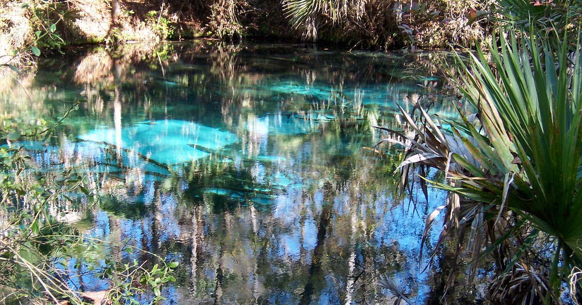 Mystic Springs, McDavid Roadtrippers