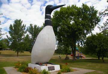 Photo of World's Largest Loon