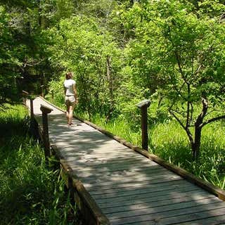 Louisiana State Arboretum State Preservation Area