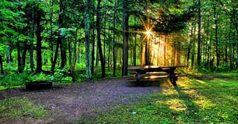 Brush Creek Campground, Lawrence Roadtrippers