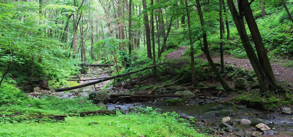 Photo of Dunnfield Hollow Trail