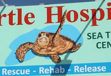Photo of The Turtle Hospital