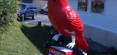 Photo of Cardinal Motel Bowling Green