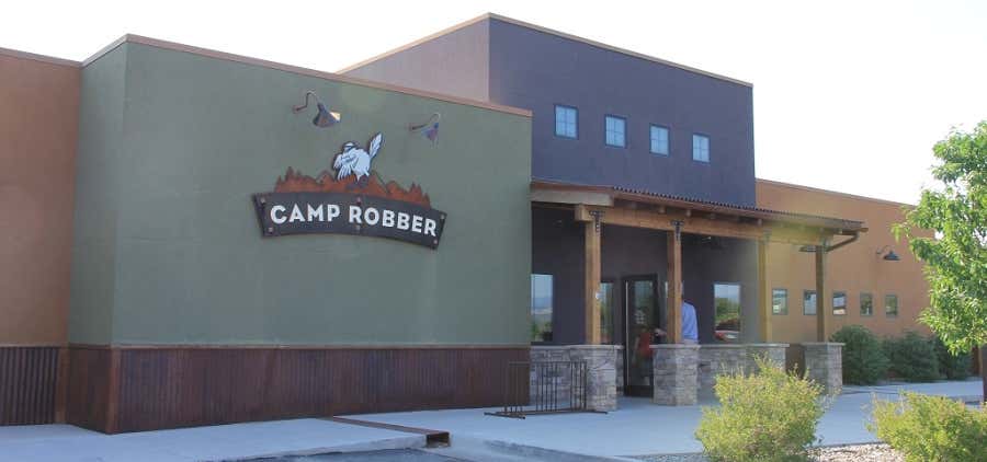 Photo of Camp Robber