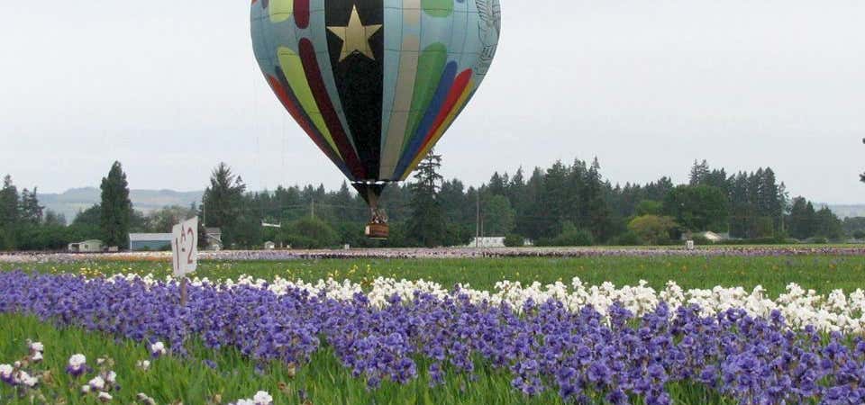 Photo of Balloon Flying Service of Oregon
