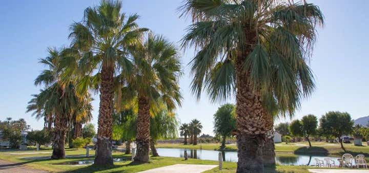 Photo of Coachella Camping & Stagecoach Camping At Oasis Palms RV Resort
