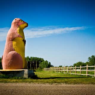 Giant Concrete Prairie Dog