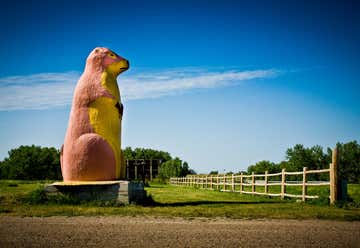 Photo of Giant Concrete Prairie Dog