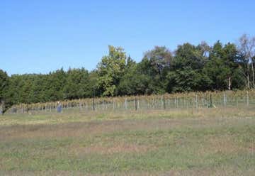 Photo of St. Jordan Creek Winery