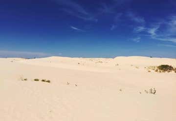 Photo of Monahans Sandhills State Park - Texas Parks And Wildlife