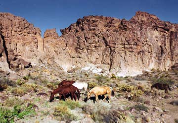 Photo of Mojave National Preserve