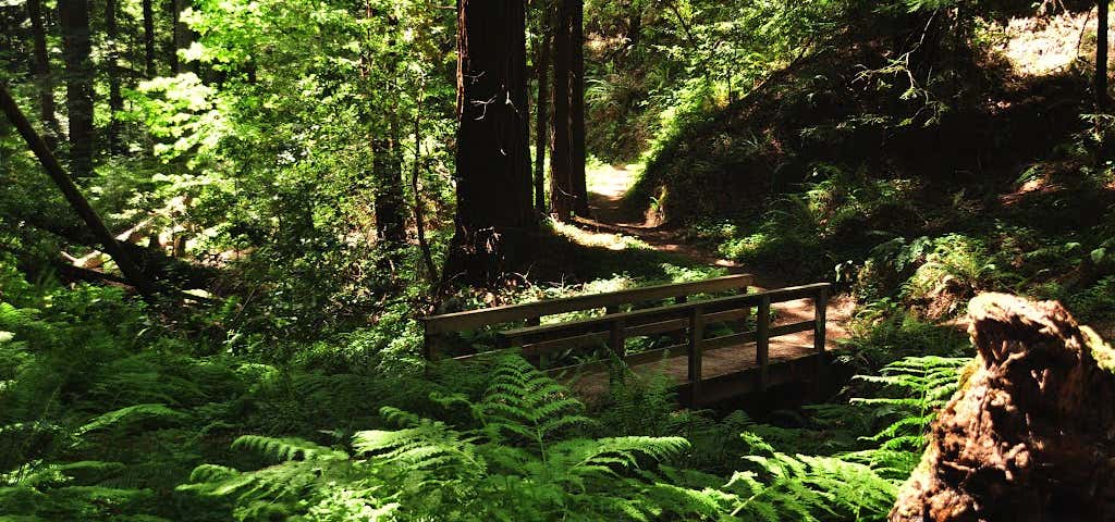 Photo of Purisima Creek Redwoods Open Space Preserve