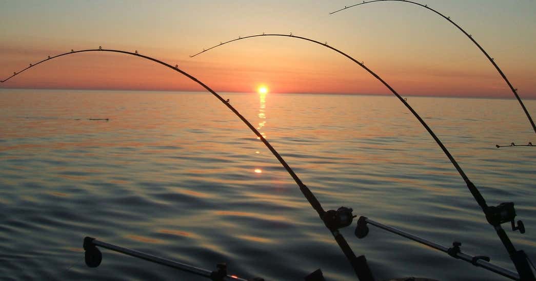 Lake Hunting & Fishing, Ludowici Roadtrippers