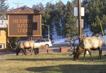 Photo of Murphy's River Lodge