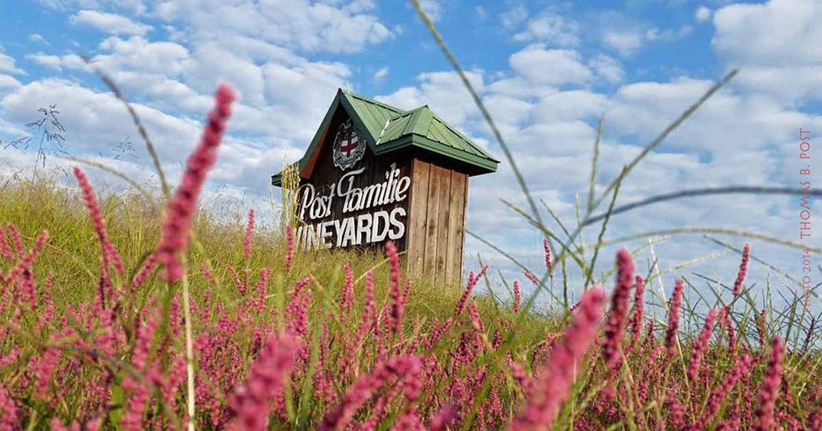 Post Familie Vineyard & Winery, Altus Roadtrippers