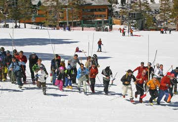 Photo of Alpine Meadows Ski Resort