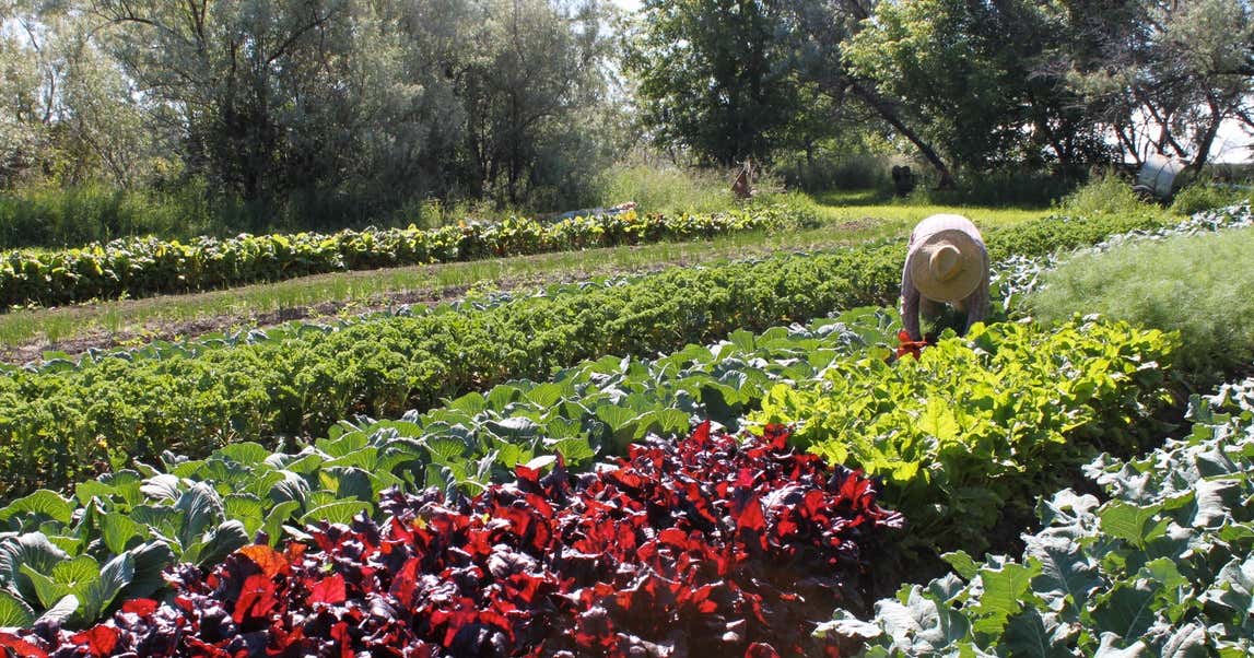 Riverbound Farm, Mandan Roadtrippers