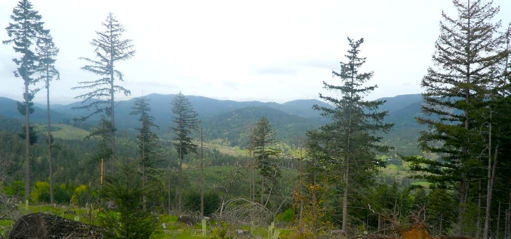 Photo of Peavy Arboretum