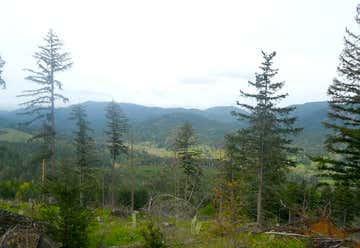 Photo of Peavy Arboretum 