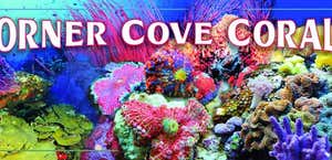 Corner Cove Corals