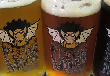Photo of Flying Mouse Brewery