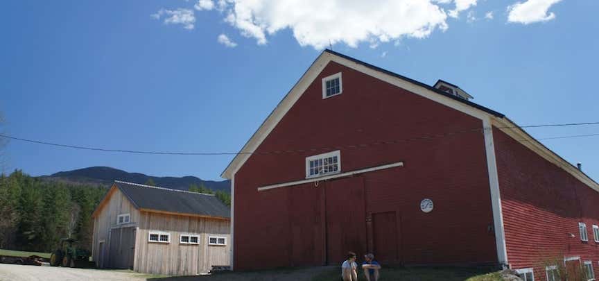 Photo of Pinestead Farm Lodge