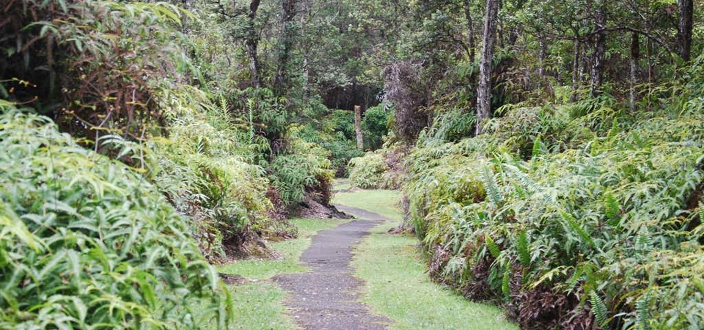 Photo of Lava Tree State Park