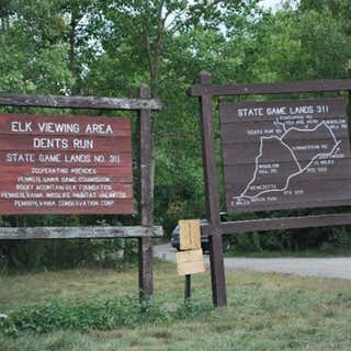 Dent's Run Elk Viewing Area