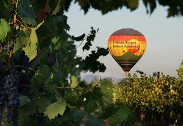Photo of A Grape Escape Hot Air Balloon Adventure