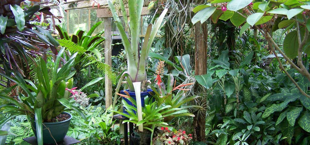 Photo of Marie Selby Botanical Gardens