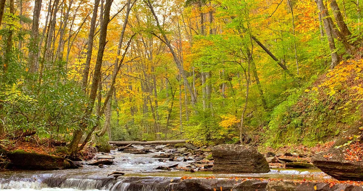 Tea Creek Campground, Marlinton Roadtrippers