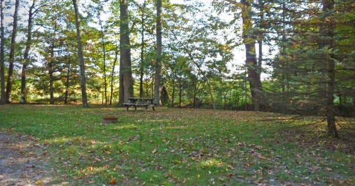 Escape to the Woods: Unplug and Recharge at Indiana's Columbus Woods-N-Waters