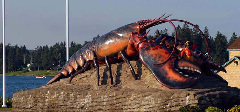 Photo of Shediac Giant Lobster