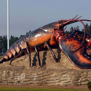 Shediac Giant Lobster