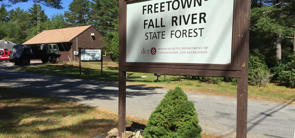 Photo of Freetown Fall River State Forest