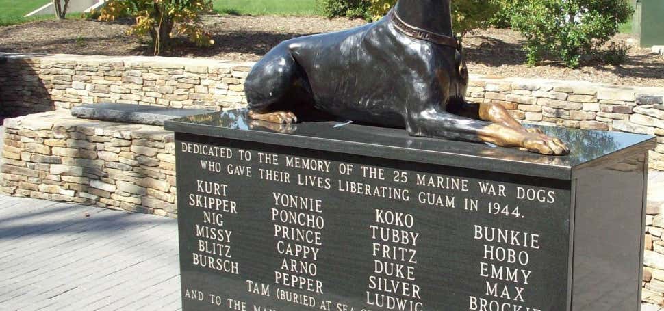 Photo of War Dog Memorial Statue