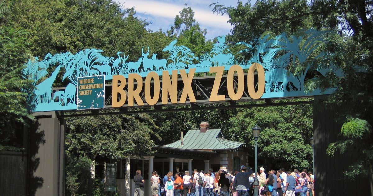 Bronx Zoo, New York Roadtrippers