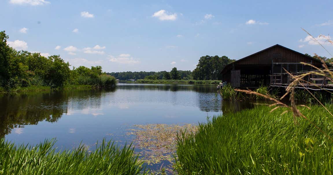 Cypress Black Bayou Recreation Area, Benton Roadtrippers