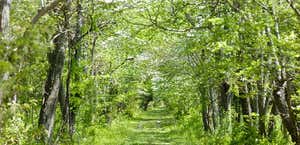 Delaware Botanic Gardens At Pepper Creek
