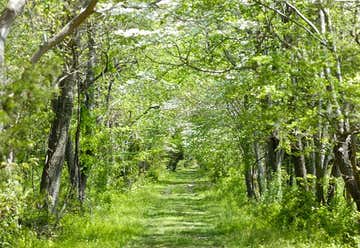 Photo of Delaware Botanic Gardens At Pepper Creek