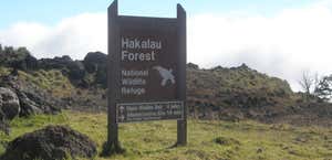 Hakalau Forest National Wildlife Refuge