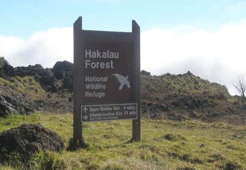 Photo of Hakalau Forest National Wildlife Refuge