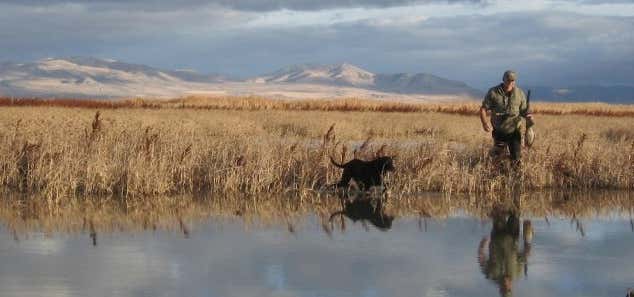 Photo of Cokeville Meadows National Wildlife Refuge